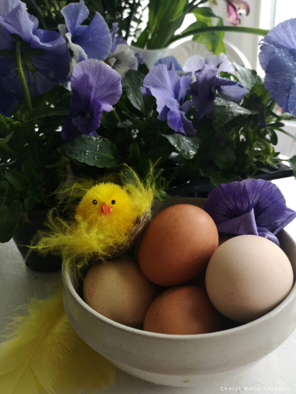 Beige Easter eggs from Swedish flower hens