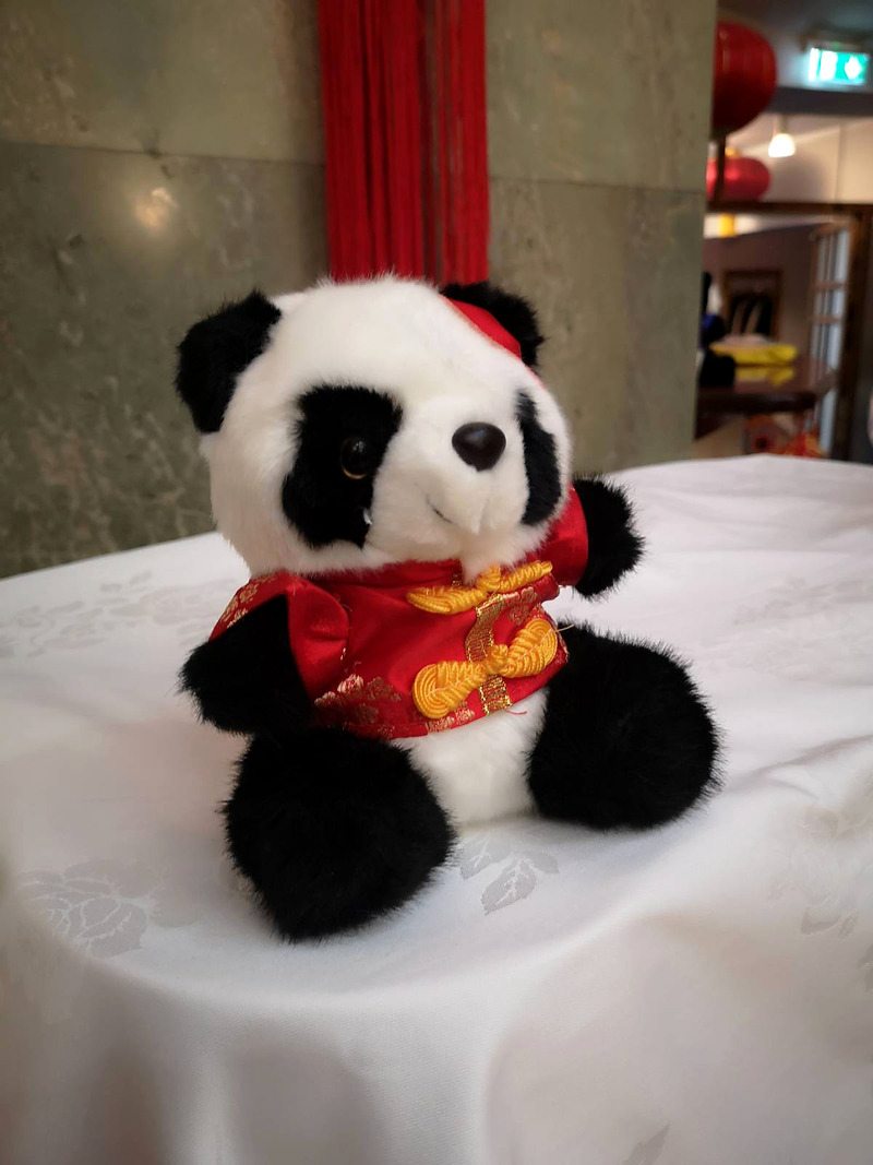 A plush panda in a red Chinese silk jacket sitting on a white tablecloth
