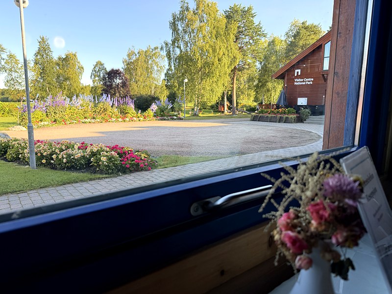 Wildflowers in a small glass on a guest room windowsill at Svanhovd