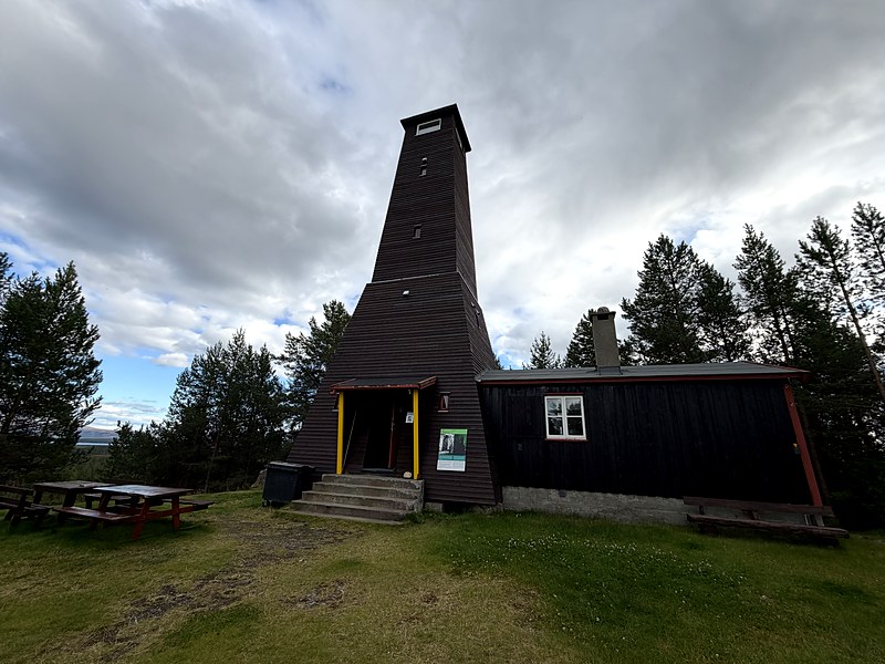 The dark timber lookout tower 96-Hoyden in the Pasvik pine forest