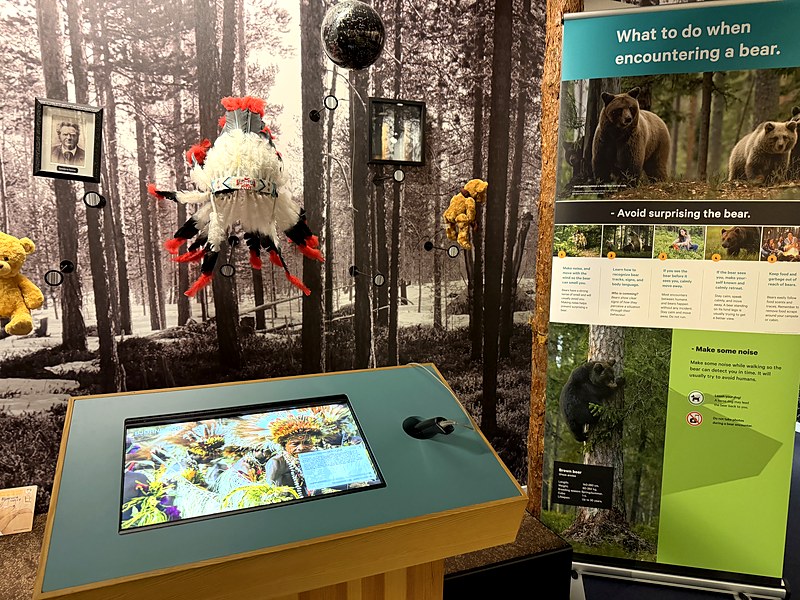 Bear dance headdress, teddy bears and a bear encounter information banner